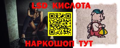 крисы Нальчик