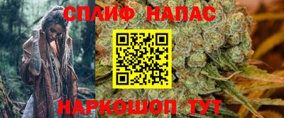 крисы Нальчик