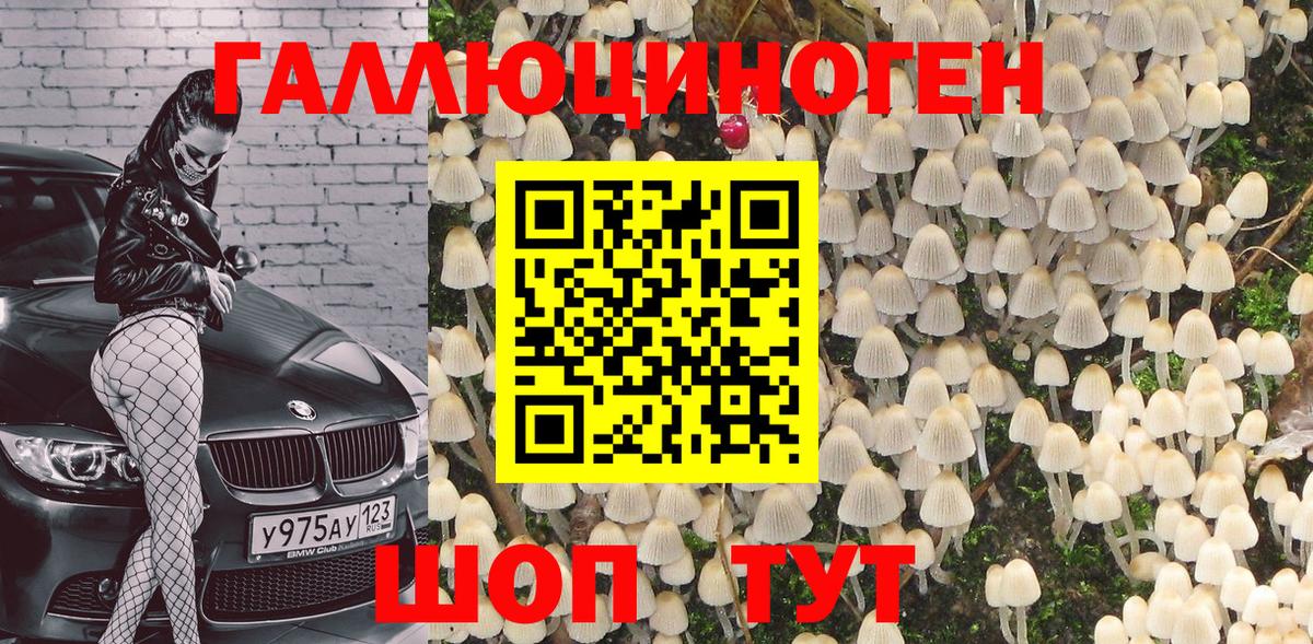 Псилоцибиновые грибы Magic Shrooms  Вход с VPN  Солнечногорск 
